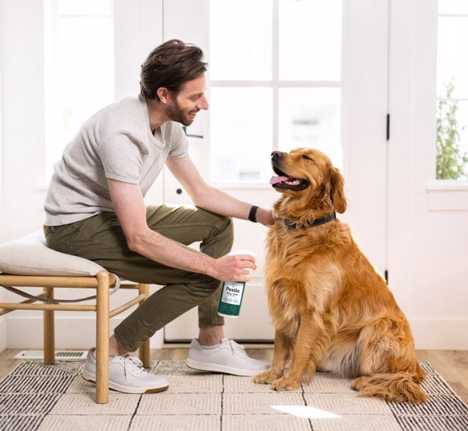 pet owner using pestie spray on dog