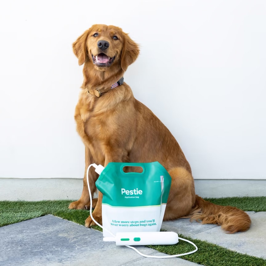dog sitting in front of pestie products