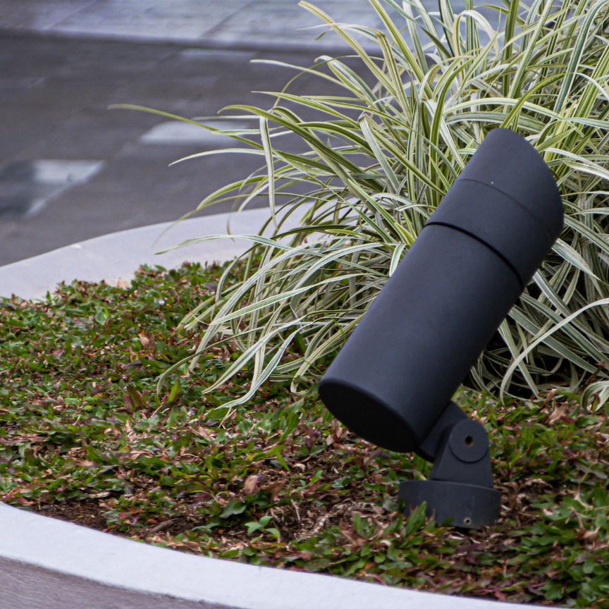 spotlight on garden